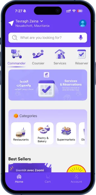 Portfolio App Zoomi