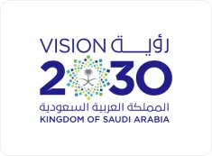 Vision 2030 Delivery Scale